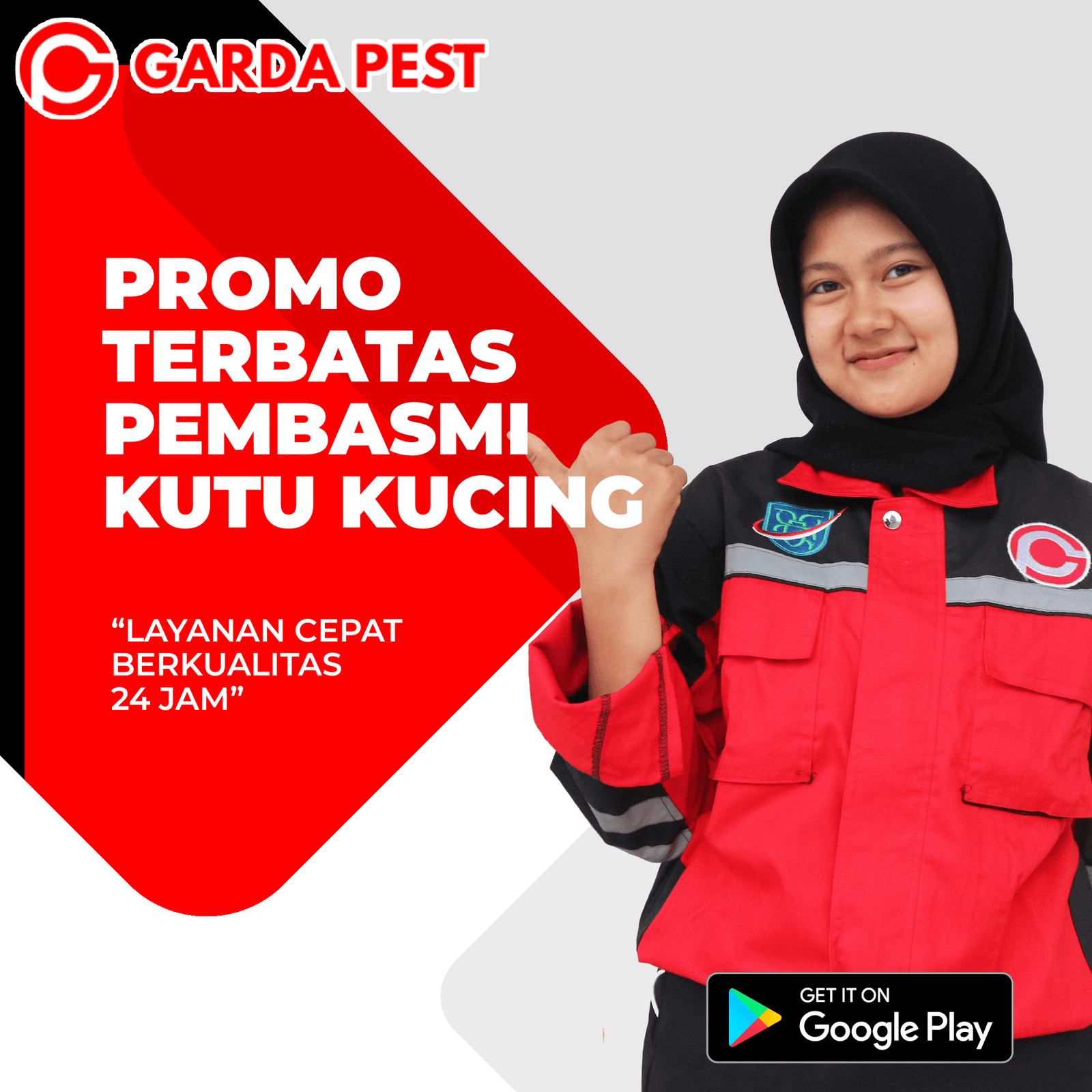 Jasa Basmi Kutu Kucing di Semarang Selatan Murah Bergaransi