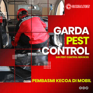 Jasa Pembasmi Kecoa Sidoarjo Terpercaya dan Bergaransi