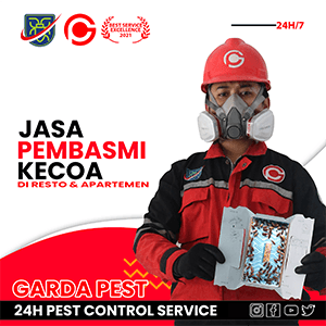 Jasa Pembasmi Kecoa Sidoarjo Terpercaya dan Bergaransi