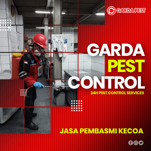 Jasa Pembasmi Kecoa Sidoarjo Terpercaya dan Bergaransi