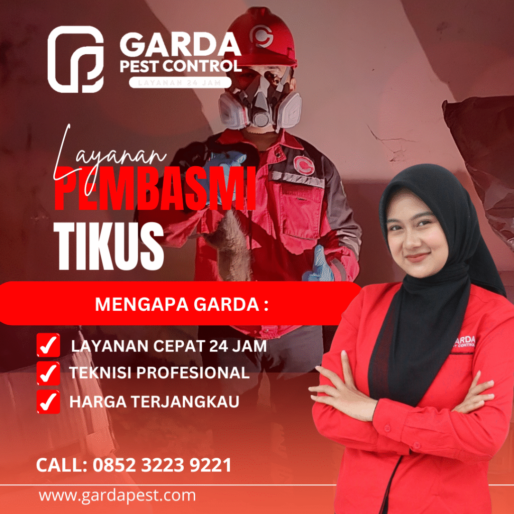 Jasa Basmi Tikus Jakarta Barat Hasil Memuaskan