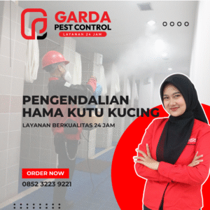 Jasa Pembasmi Kutu Kucing Terdekat