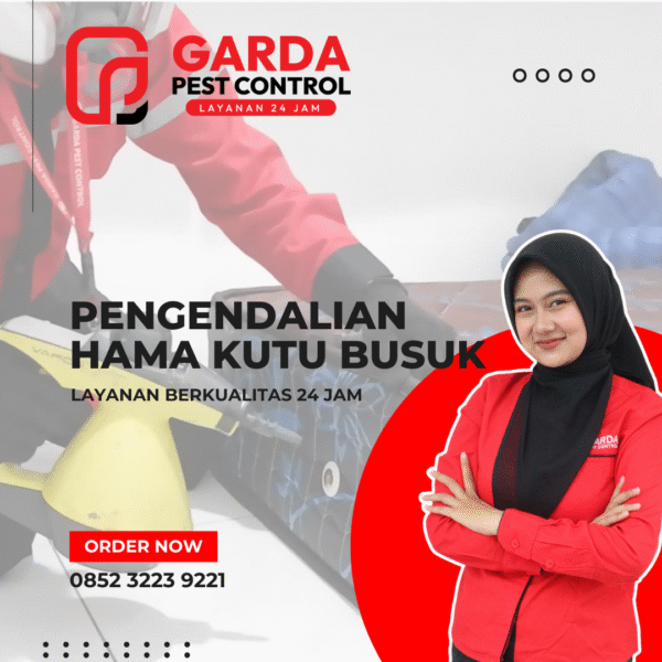Jasa Pembasmi Kutu Kasur Kutu Busuk Kepinding Tinggi Tumila Terdekat