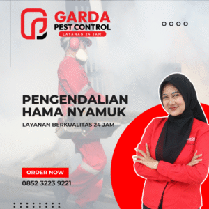 Jasa Fogging Nyamuk Di Tangerang | Massal 1 RT Harga Lebih Murah