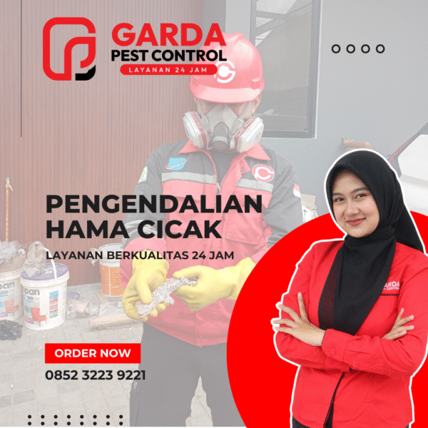 Jasa Pembasmi Cicak di Bandung Terbaik dan Terkemuka