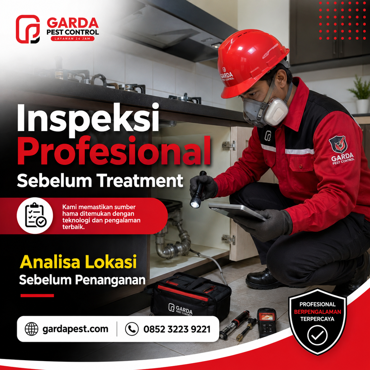 Perbedaan Rayap Tanah dan Rayap Kayu Kering pada Bangunan serta Cara Menanganinya