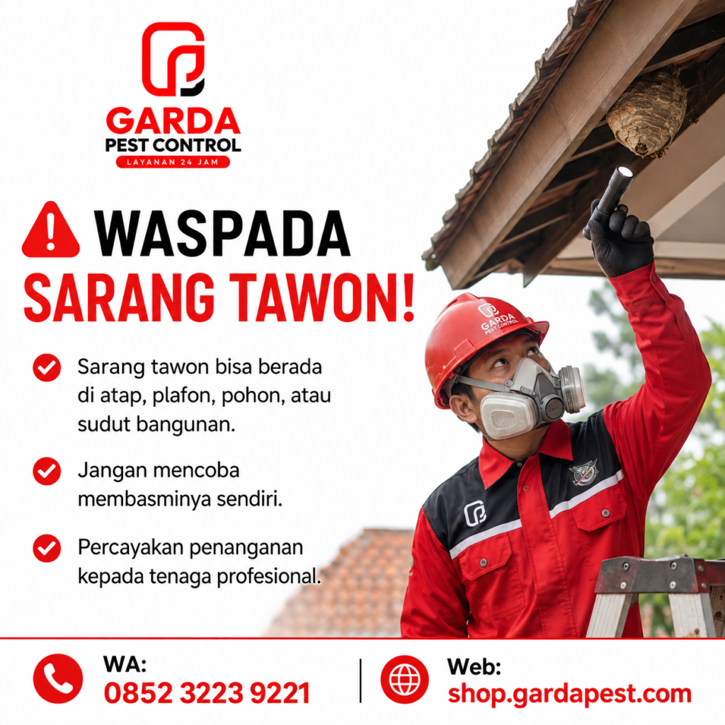 Ahli Basmi Sarang Tawon Berbahaya (Vespa Affinis)