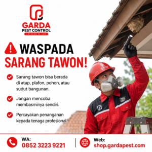 Ahli Basmi Sarang Tawon Berbahaya (Vespa Affinis)