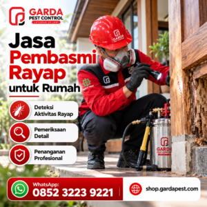Jasa Anti Rayap Jakarta Pusat Terpercaya untuk Rumah dan Gedung